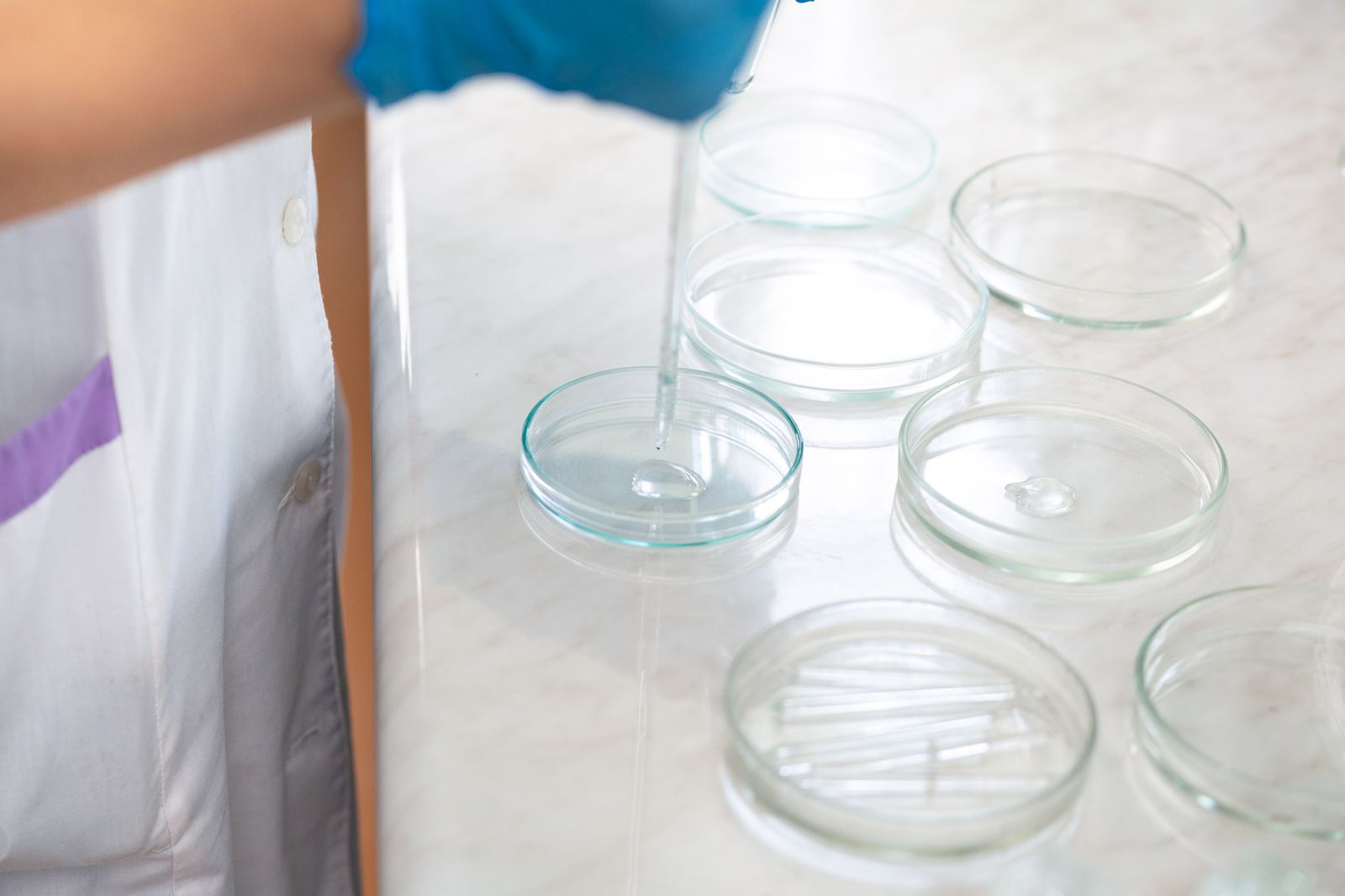 Laboratory dropper dispensing liquid into clear dishes